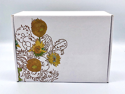 飛機(jī)盒彩箱定制批發(fā) 三層紙箱飛機(jī)盒生產(chǎn)廠(chǎng)家